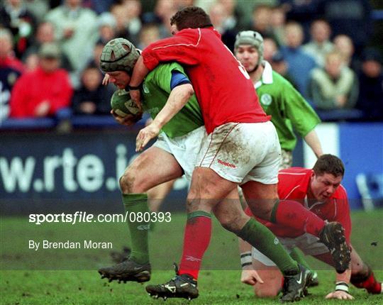 Ireland A v Wales A - "A" Rugby International