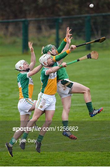 Meath v Offaly - Bord na Mona Walsh Cup Group 4 Round 1