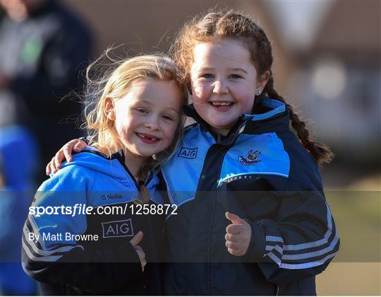 Wexford v Dublin - Bord na Mona O'Byrne Cup Group 1 Round 3