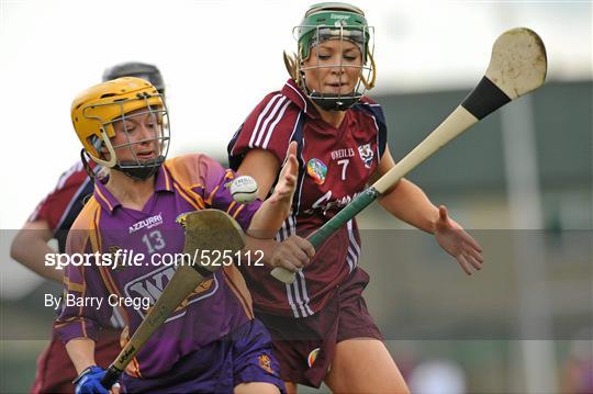 Wexford v Galway - All-Ireland Senior Camogie Championship Round One