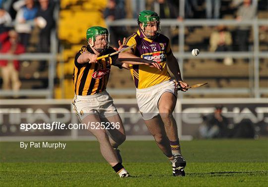 Wexford v Kilkenny - Leinster GAA Hurling Senior Championship Semi-Final