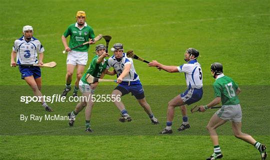 Limerick v Waterford - Munster GAA Hurling Senior Championship Semi-Final