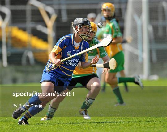 Tipperary v Offaly - All-Ireland Senior Camogie Championship Round 2 in association with RTE Sport
