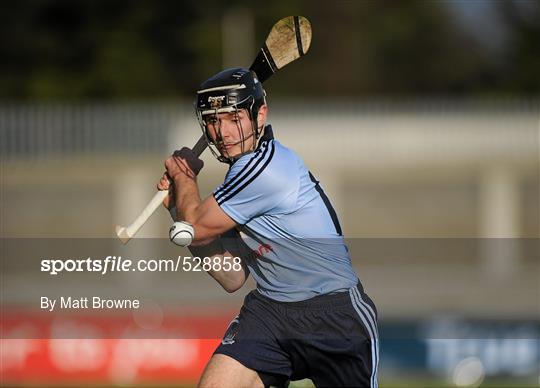 Dublin v Offaly - Bord Gais Energy Leinster GAA U-21 Hurling Championship 2011 Semi-Final