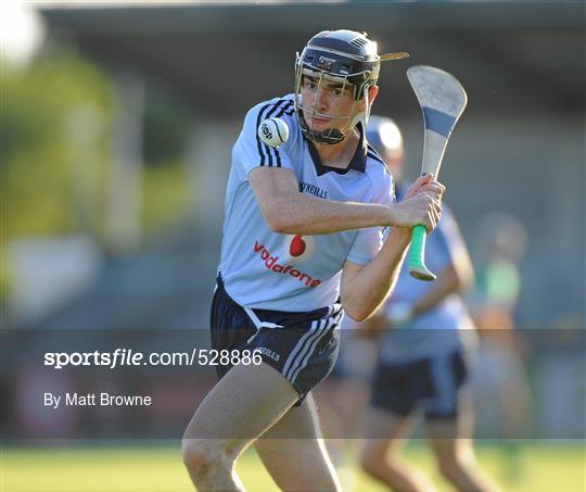 Dublin v Offaly - Bord Gais Energy Leinster GAA U-21 Hurling Championship 2011 Semi-Final