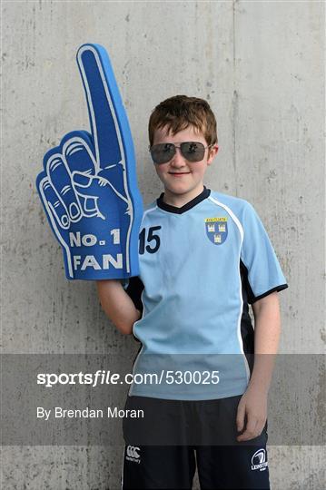 Supporters at the Leinster GAA Senior Football Championship Semi-Finals