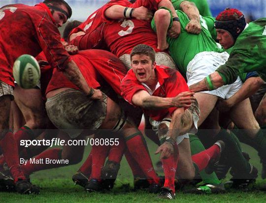 Ireland v Wales - U21 Rugby International