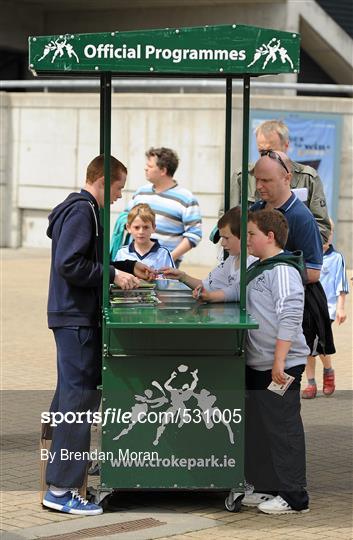 Supporters at the Leinster GAA Senior Football Championship Semi-Finals