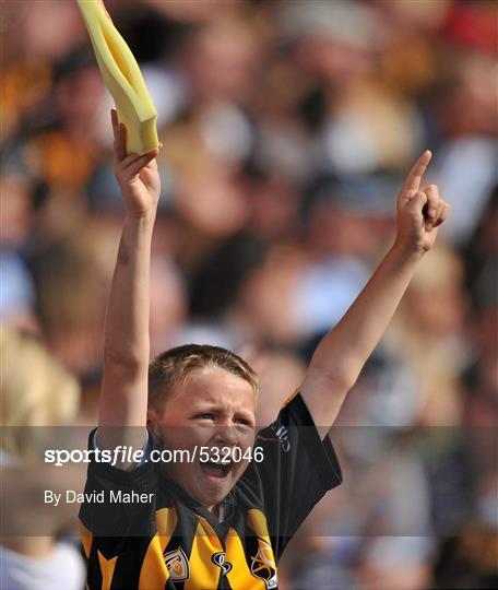 Kilkenny v Dublin - Leinster GAA Hurling Senior Championship Final