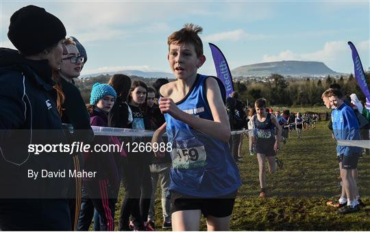 Irish Life Health Connacht Schools Cross Country