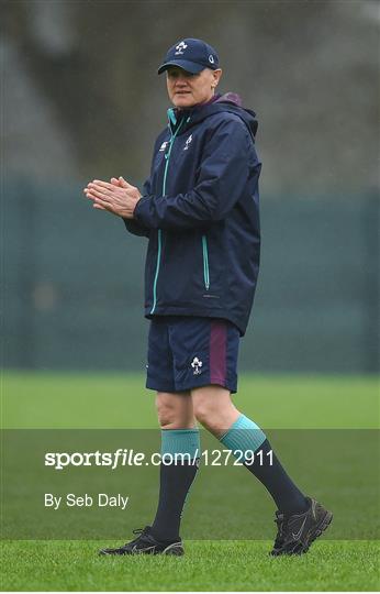 Ireland Rugby Squad Training and Press Conference