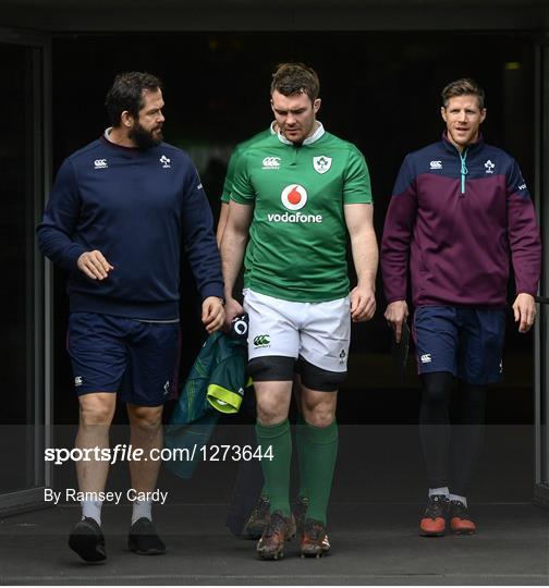 Ireland Rugby Squad Captain's Run and Press Conference