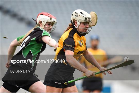 Myshall v Eglish - AIB All-Ireland Intermediate Camogie Club Championship Final