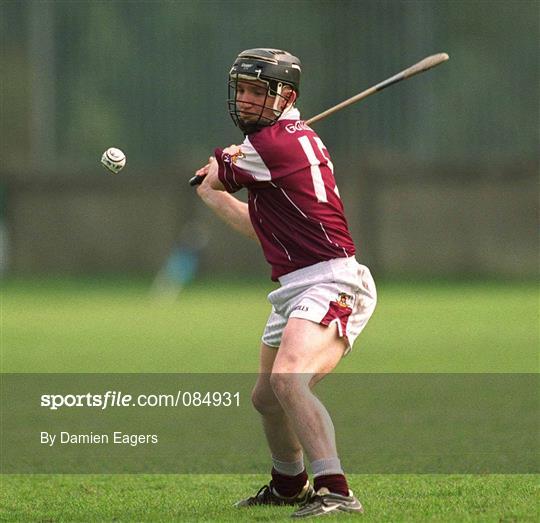 Dublin v Galway - Allianz Hurling League Division 1A Round 1