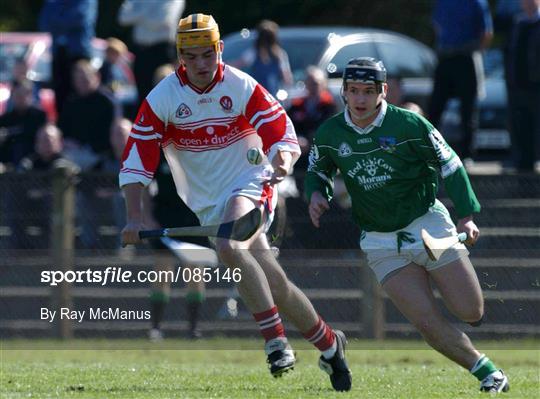 Derry v Limerick - Allianz National Hurling League Division 1B Round 5