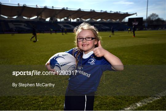 Mascots at Leinster v Cardiff Blues - Guinness PRO12 Round 18