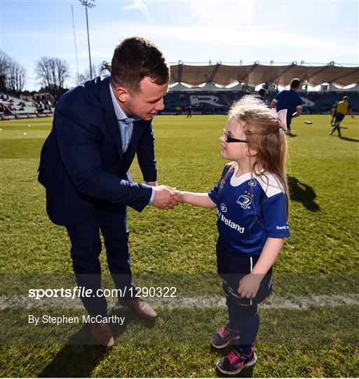 Mascots at Leinster v Cardiff Blues - Guinness PRO12 Round 18