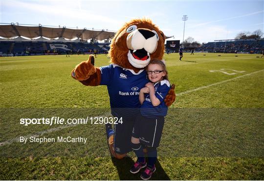 Mascots at Leinster v Cardiff Blues - Guinness PRO12 Round 18