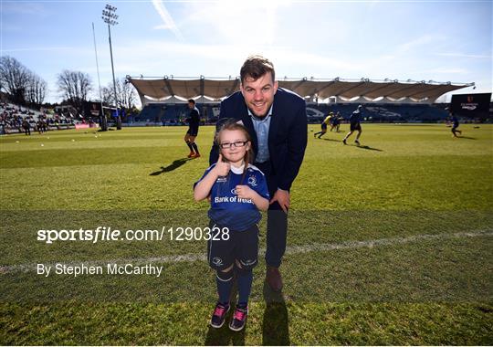 Mascots at Leinster v Cardiff Blues - Guinness PRO12 Round 18