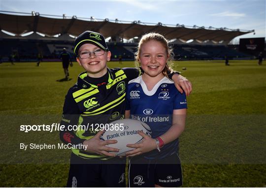 Mascots at Leinster v Cardiff Blues - Guinness PRO12 Round 18