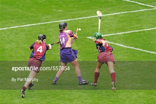 Galway v Wexford - All-Ireland Senior Camogie Championship Final in association with RTE Sport
