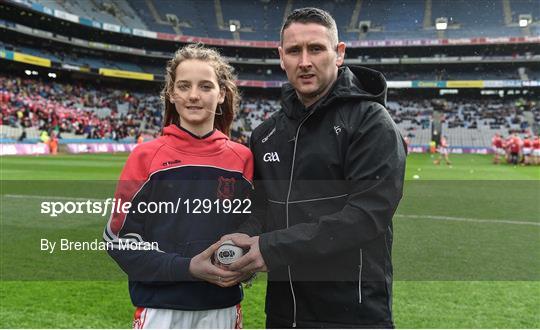 Ballyea v Cuala - AIB GAA Hurling All-Ireland Senior Club Championship Final