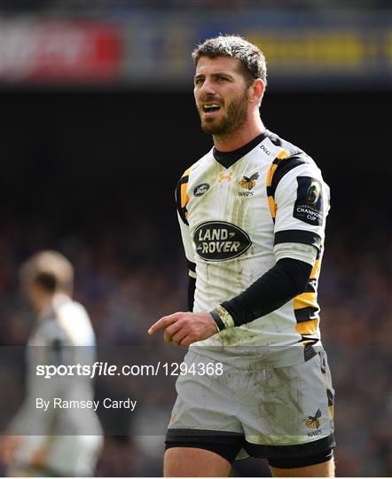 Leinster v Wasps - European Rugby Champions Cup Quarter-Final
