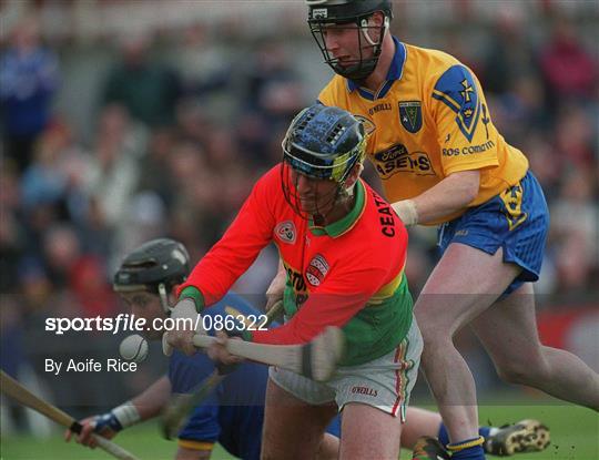 Carlow v Roscommon - Allianz National Hurling League Division 2 Relegation Play-Off