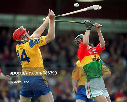 Carlow v Roscommon - Allianz National Hurling League Division 2 Relegation Play-Off