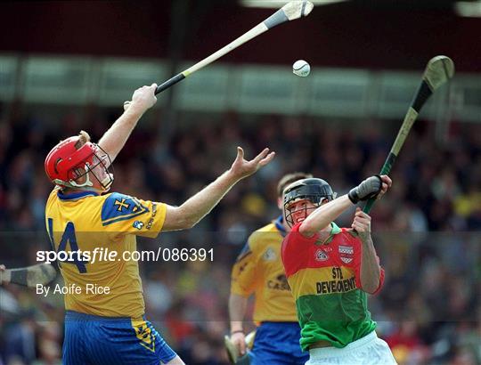 Carlow v Roscommon - Allianz National Hurling League Division 2 Relegation Play-Off