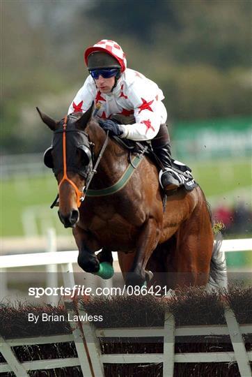 Horse Racing from Punchestown