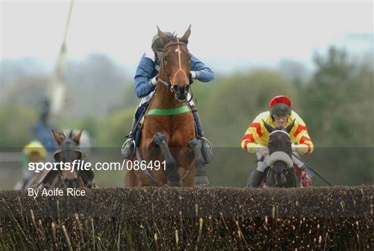 Horse Racing from Punchestown