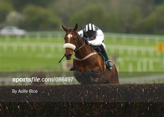 Horse Racing from Punchestown