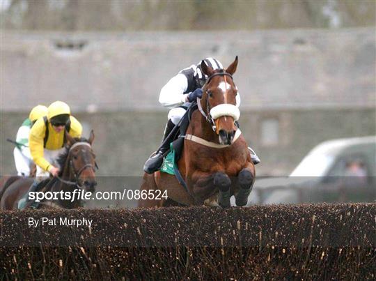 Horse Racing from Punchestown