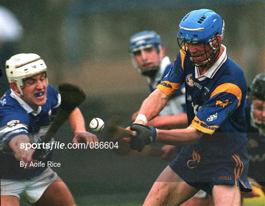 Wicklow v Laois - Guinness Leinster Senior Hurling Championship First Round