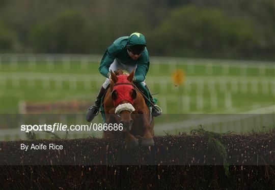 Horse Racing from Punchestown