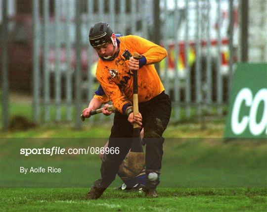 Wicklow v Laois - Guinness Leinster Senior Hurling Championship First Round