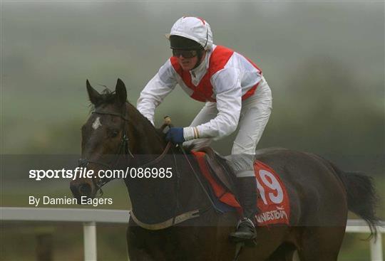 Horse Racing from Punchestown