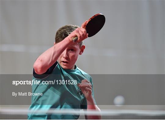 European Table Tennis Championships - Final Qualifier