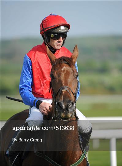 Punchestown Irish National Hunt Festival 2011 - Tuesday 3rd May