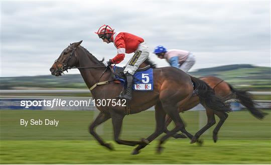 Punchestown Races - Day 4