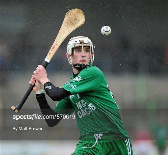 Ballyhale Shamrocks v James Stephen's - Kilkenny County Senior Hurling Championship Final