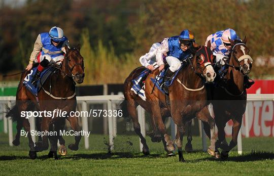 Leopardstown - 2011 Flat Season Finale Day