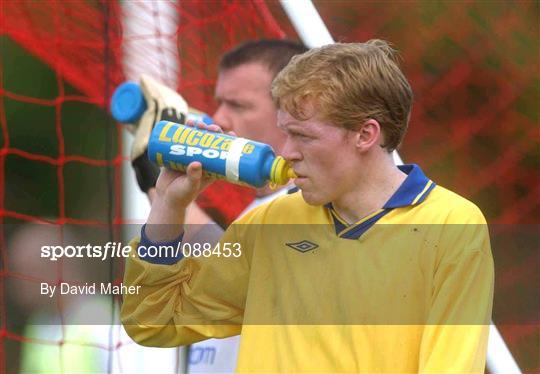 Republic of Ireland Squad Training Session and Press Conference