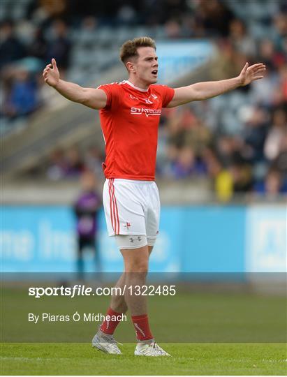 Louth v Wicklow - Leinster GAA Football Senior Championship Round 1