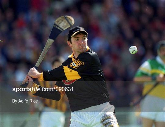 Kilkenny v Offaly - Guinness Leinster Senior Hurling Championship Semi-Final