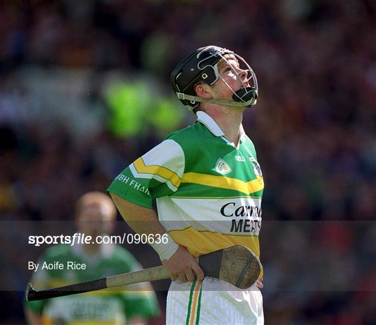 Kilkenny v Offaly - Guinness Leinster Senior Hurling Championship Semi-Final