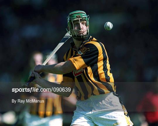 Kilkenny v Offaly - Guinness Leinster Senior Hurling Championship Semi-Final