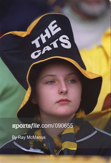 Kilkenny v Offaly - Guinness Leinster Senior Hurling Championship Semi-Final