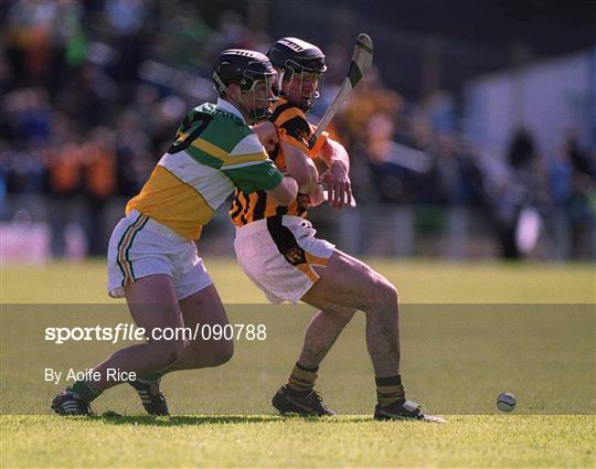 Kilkenny v Offaly - Guinness Leinster Senior Hurling Championship Semi-Final